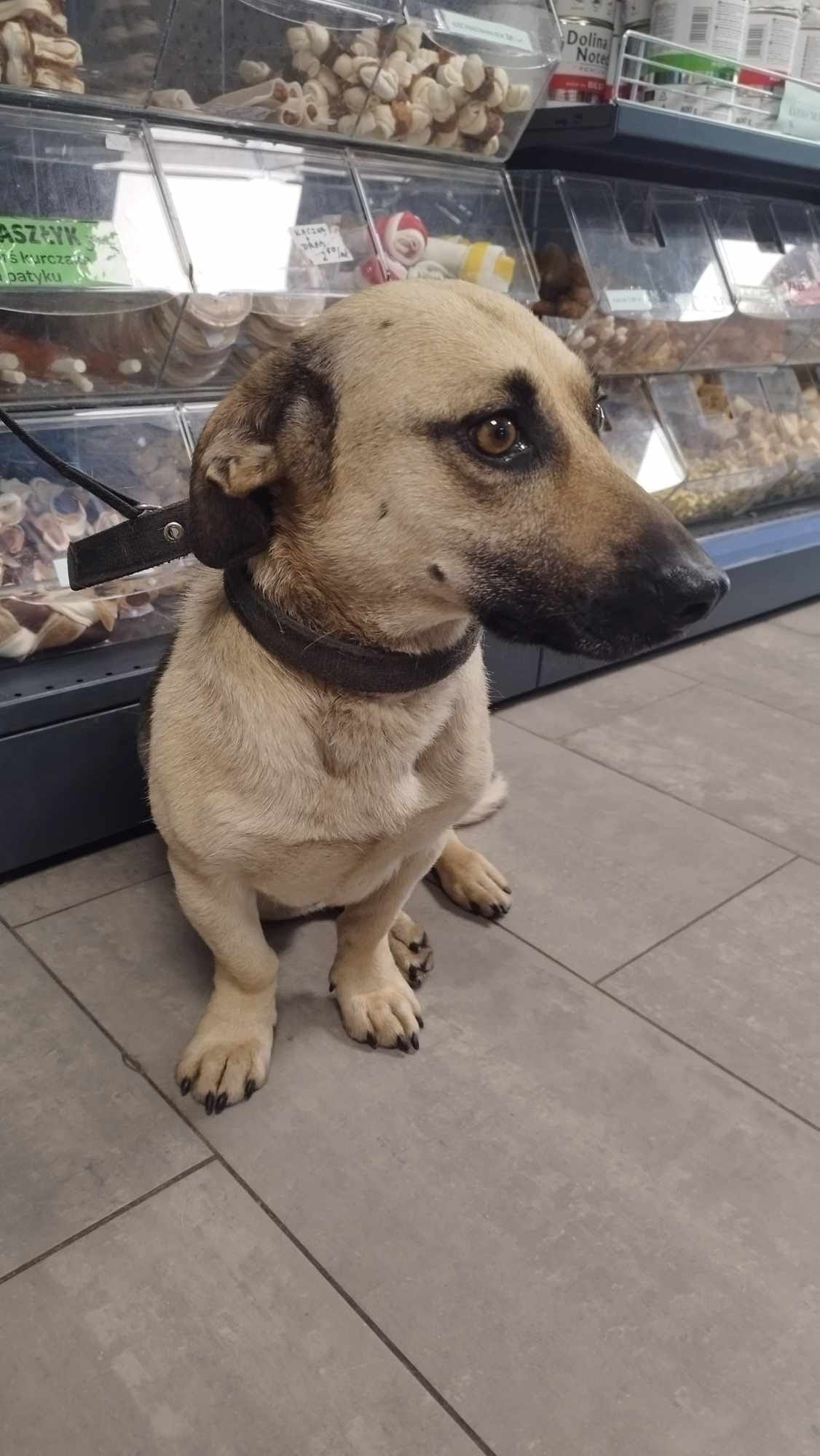 1739276076-okulistyka